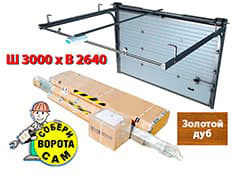 Doorhan RSD-01S 3000х2640 мм (зол. дуб)